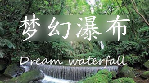 疯狂的聚会