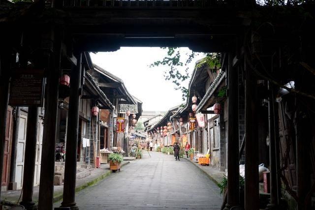 探探猫历险记2